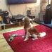 Gordon McLeod - Facebook