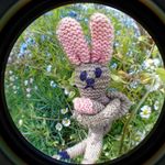 Gordon Mcleod - @gordon.mcleod.73 - Instagram