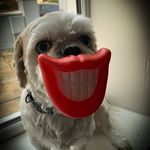 Gordon Meade - @gordon.meade - Instagram