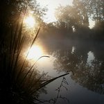 Gordon Meadows - @gordonmeadows - Instagram