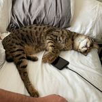 Gordon McKemie - @samusvision - Instagram