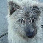 Gordon Morgan - @gordon.64 - Instagram