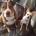 Gordon Morgan - Facebook