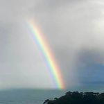 Gordon Morrison - @gordonmorrison8 - Instagram