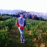 Gordon Morrison - @morrison_gordon - Instagram