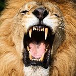 Gordon Morrison - @gordon.morrison.56679 - Instagram