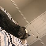 Gordon - @gordonmorton9819 - Instagram