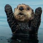 Gordon Morton - @gordonm2007 - Instagram