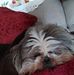 Gordon Morton - Facebook