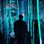 Gordon Moss - @moss_gordon - Instagram
