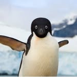Gordon Moss - @lindas_cruises - Instagram