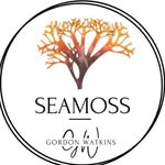 Gordon Watkins Sea Moss - @gordonwatkinsuk - Instagram