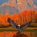 Gordon Murphy - Facebook