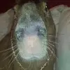 gordonmurphy415 - @gordonmurphy415 - TikTok