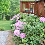 Diane Barlow Newkirk - Facebook