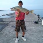 Gordon Osborne - @gordon.osborne.752 - Instagram