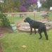 Gordon Boughton - Facebook