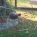 Gordon Penberthy - Facebook
