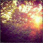 Gordon Pepper - @larryschewetao - Instagram