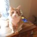 Gordon Peters - Facebook