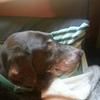 Gordon Peters - @gordon.peters5 - TikTok
