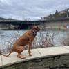 Gordon Peters - @gordon.peters6 - TikTok