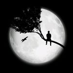 Gordon Peterson - @_gordon_peterson - Instagram
