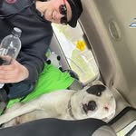 Gordon Petty - @gogopetty1992 - Instagram