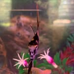 Gordon - @gordon__pitcher - Instagram