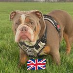 Gordon Porter - @gporter1976 - Instagram