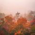 Gordon Porterfield - Facebook