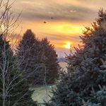 Gordon Cheryl Townes Pratt - @cheryl_gordon_p - Instagram