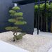 Proact Landscape Garden - Facebook