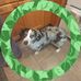 GordonandLeslie Rieger - Facebook