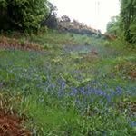 Gordon Ritchie - @ritchie_gordonwsbk - Instagram