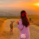 @gordonroach6198 - Instagram
