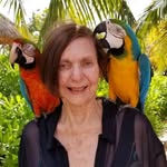 Carole Gordon Rollins - @rollinscarolegordon - Instagram