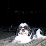 Gordon Rother - @gordonrother - Instagram