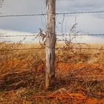 Gordon Rothwell - @rothwell_gordon - Instagram