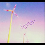 Gordon Rowland - @gordon_scooter - Instagram