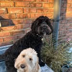 Gordon Rowland - @gordonrowland - Instagram