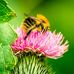 Gordon Rowland Photography - Facebook