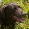 Gordon Sanderson - @gordon.sanderson - TikTok