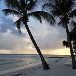 Gordon Simpson - @gordon.simpson.52 - Instagram