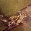 Gordon Simpson - @gordon.simpson3 - TikTok
