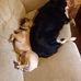Gordon Singleton - Facebook