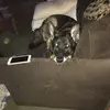 Gordon Smith - @gordon.smith10 - TikTok