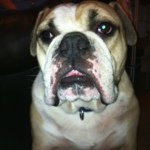 Gordon Snell - @bootsie74 - Instagram