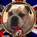 Gordon Snell - Facebook