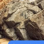 Gordon Stone - @gordonstone7 - Instagram
